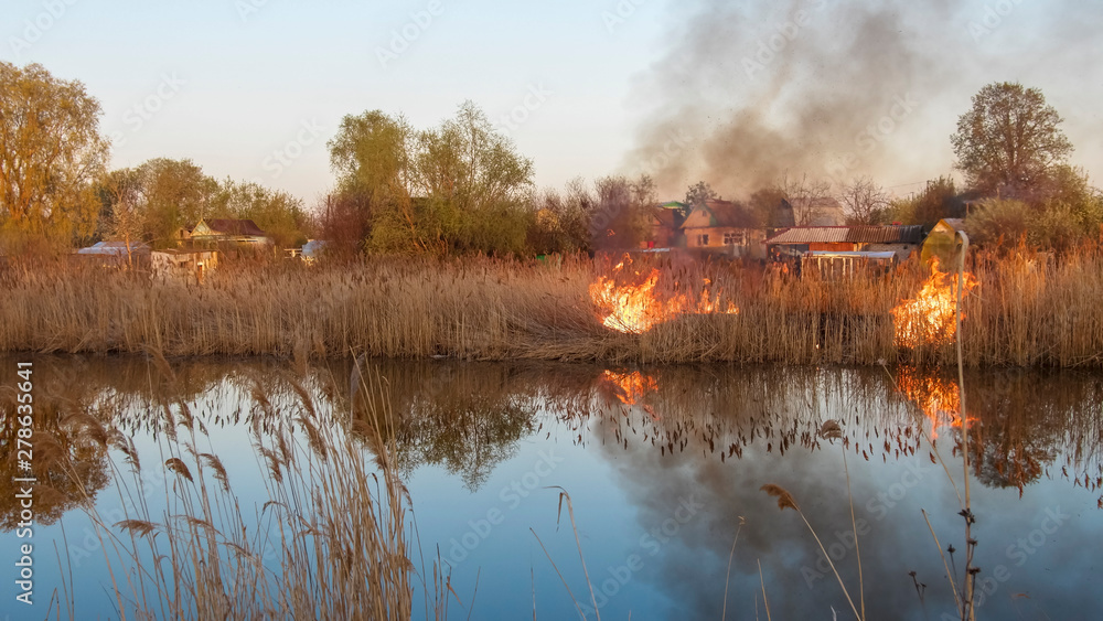 Fototapeta premium the fire on a pond fire runs high