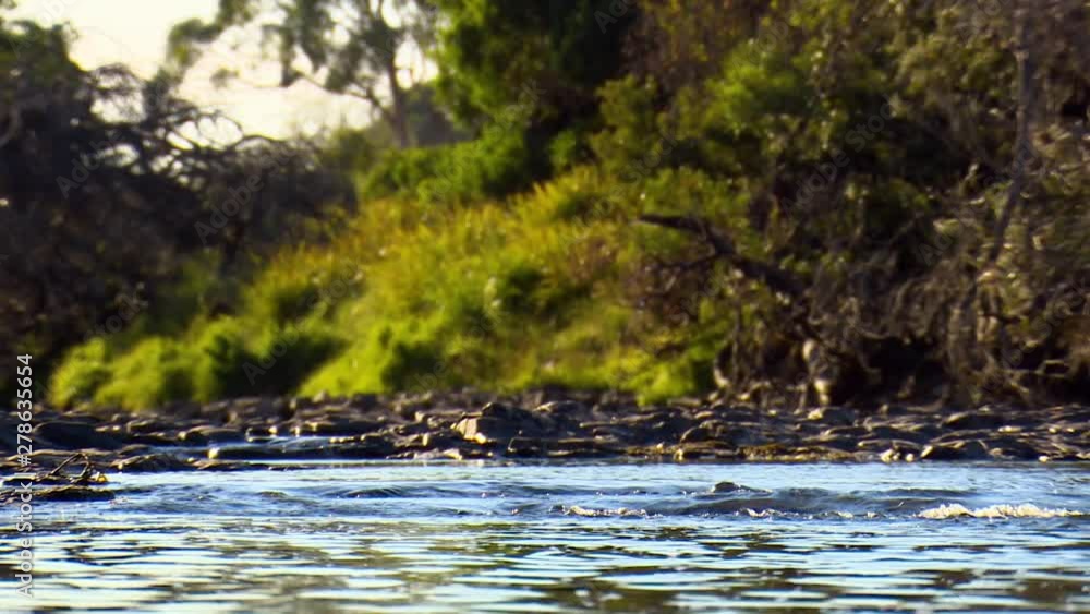 Wide shot from a low angle looking upstream along a shallow river with rocky banks Wide shot from a low angle looking upstream along a shallow river with rocky banks