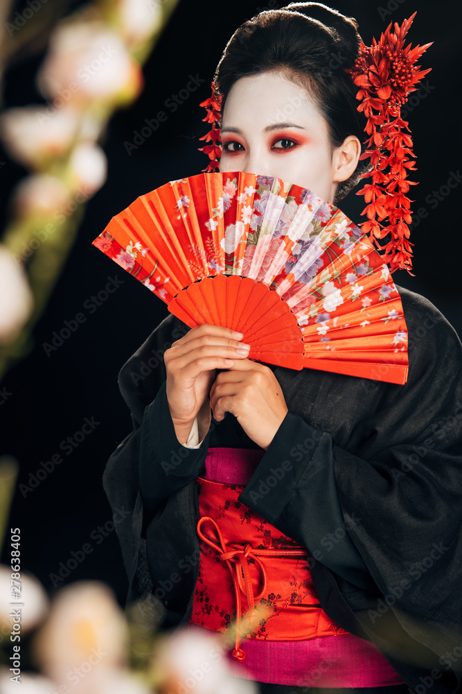 selective focus of beautiful geisha in black kimono with red flowers in  hair holding hand fan and sakura branches isolated on black Photos | Adobe  Stock