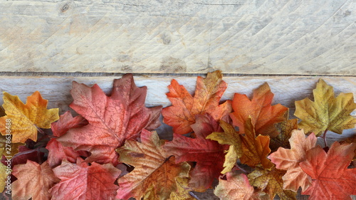 autumn leaves on wooden background with writing space