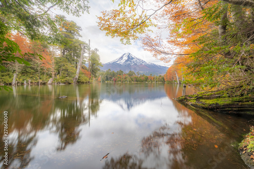Captren Lagoon at Autumn Season  a colorful mirror over the waters with amazing reflections of Llaima Volcano  similar to Mt Fuji. An awe autumn leaf color volcanic scenery inside a wild environment
