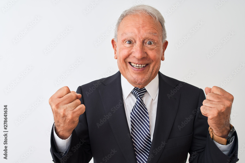 Senior grey-haired businessman wearing suit standing over isolated white background celebrating surprised and amazed for success with arms raised and open eyes. Winner concept. Senior grey-haired businessman wearing suit standing over isolated white background celebrating surprised and amazed for success with arms raised and open eyes. Winner concept.