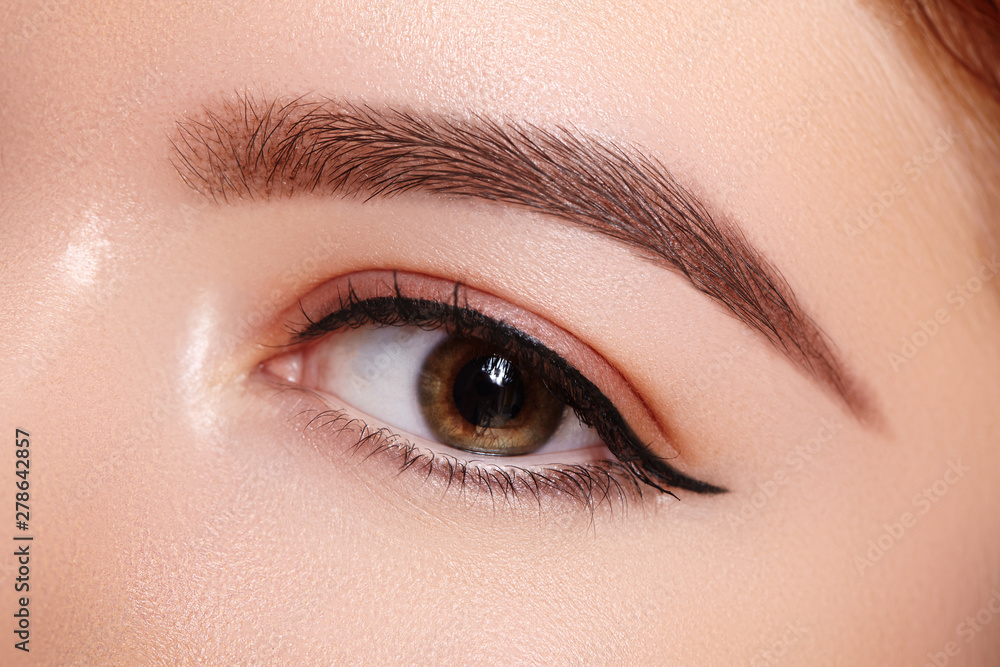 Obraz premium Beautiful Macro Shot of Female Eye with Classic Eyeliner Makeup. Perfect shape of eyebrows. Cosmetics and make-up