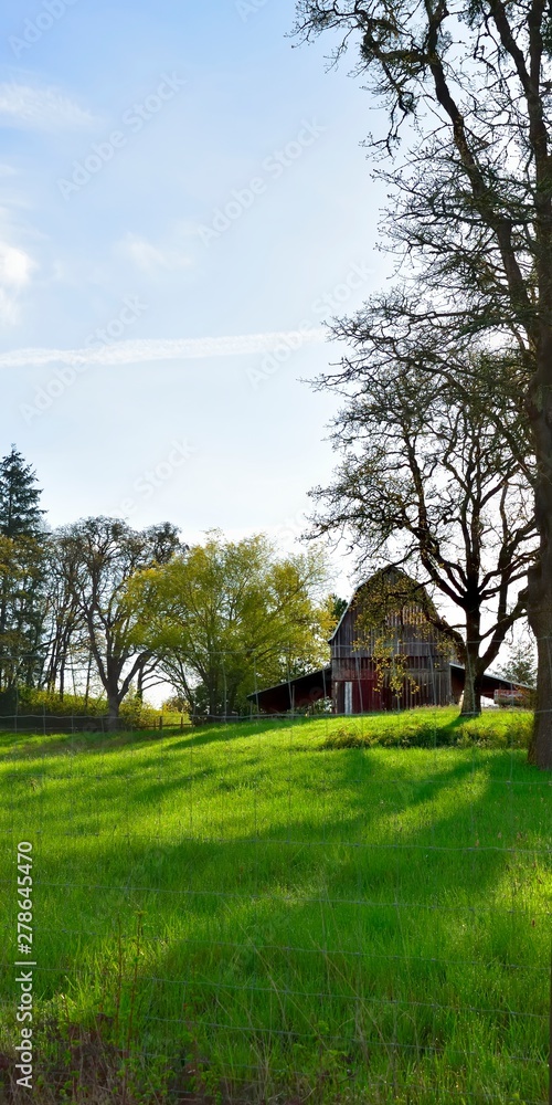 Fototapeta premium Weathered wooden barn with blue sky green pasture trees
