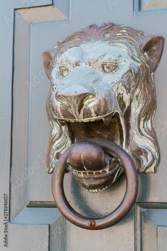 Interesting Lion Head Door Knocker