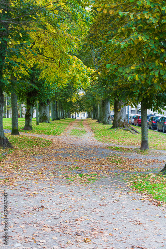Pathway through a park in Normandy, France