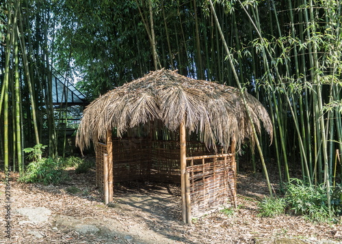 A gazebo with a thatched roof on bamboo background. Park Arboretum.