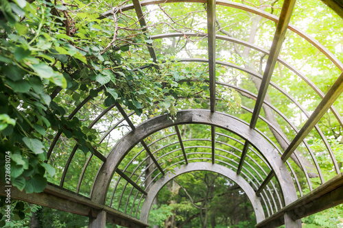 Garden Canopy at the park - Image