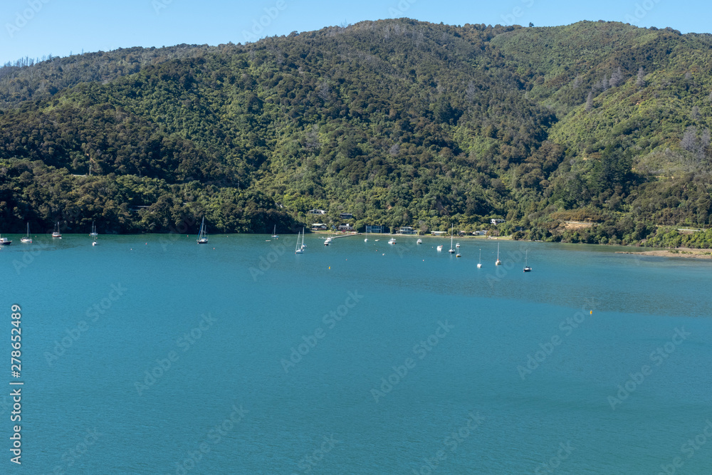 Yachts and sail boats moored in the bays in the Marlborough Sounds New Zealand