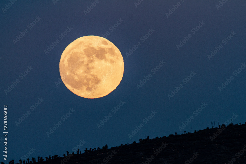 Fototapeta premium MOON