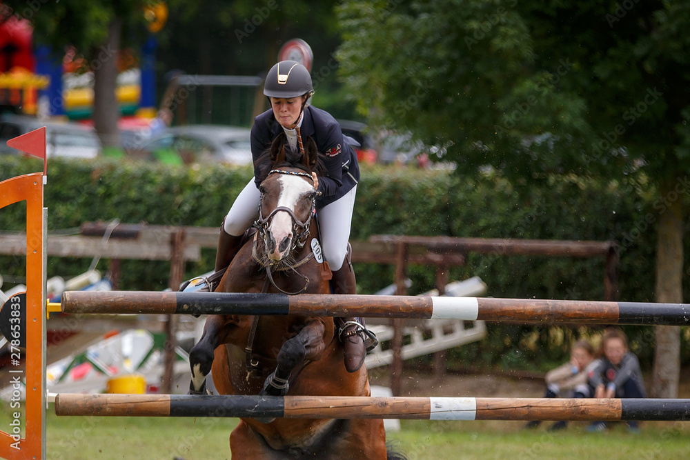Verweigerung beim Springturnier Verweigerung beim Springturnier