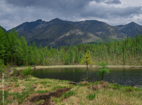 The beginning of summer in Tunkinskie loaches the mountains Eastern Sayan  photo