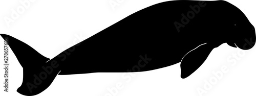 Tablou pe pânză Dugong