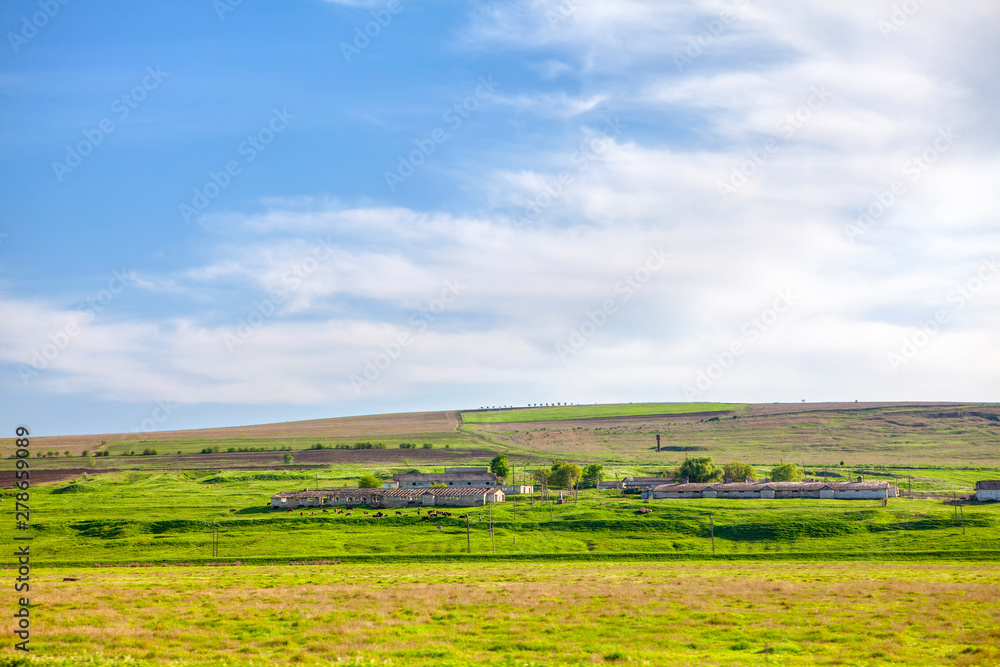 farmland landscape with green meadow