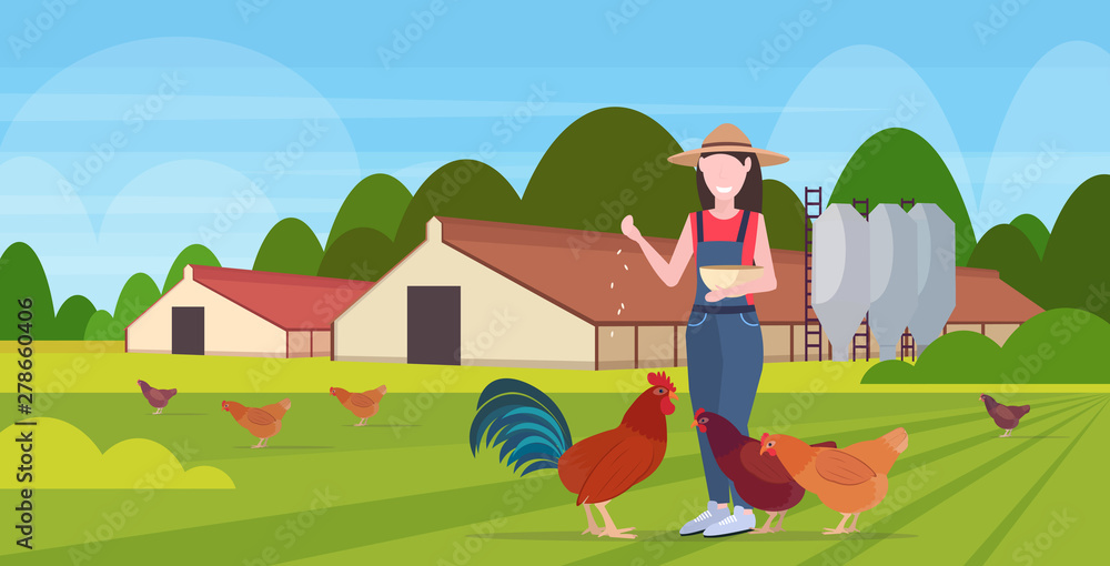 woman farmer feeding chicken and rooster free range poultry breeding farming agriculture concept barn building countryside landscape background flat full length horizontal woman farmer feeding chicken and rooster free range poultry breeding farming agriculture concept barn building countryside landscape background flat full length horizontal