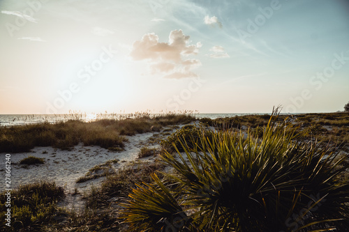 A stunning golden sunset on a florida beach