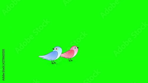 Two Cartoon Birds Fly in and Perch on Green Screen background