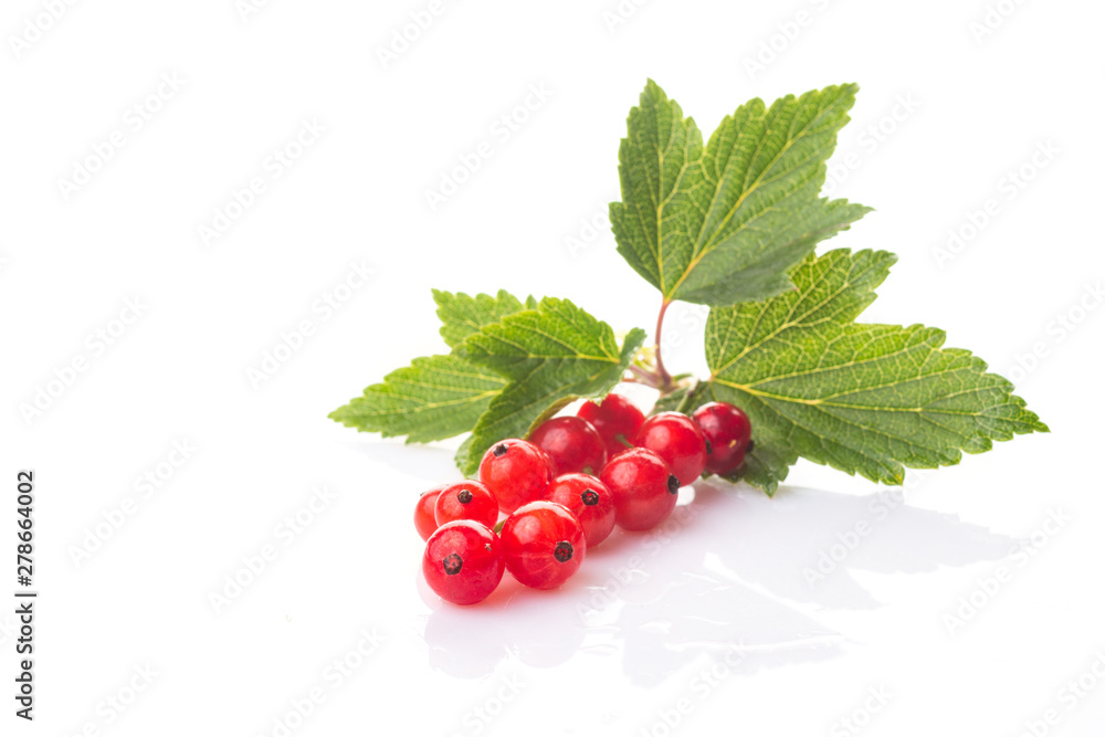 Fresh berries of red currant with green leaves isolated on white background Fresh berries of red currant with green leaves isolated on white background