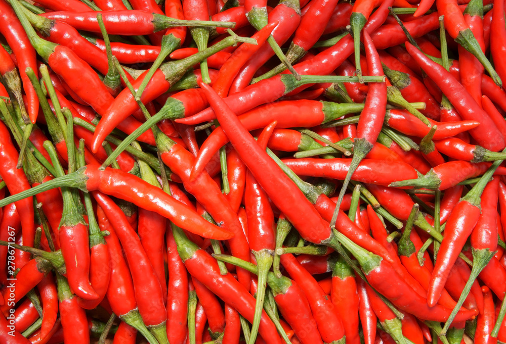 Red chili pepper background.