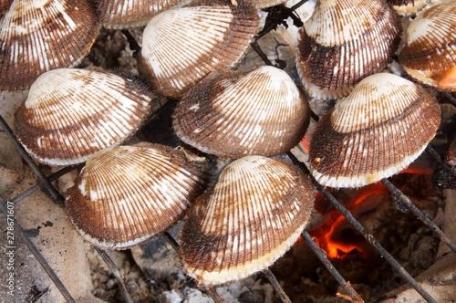 Barbecue grill cooking seafood, cockle seashells cooking on grill