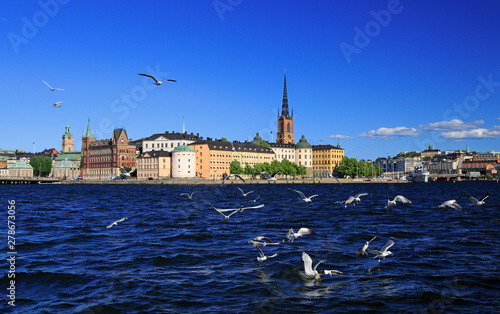 Photography Scenic panorama of the Old Town Gamla Stan in Stockholm with lake and seagulls o