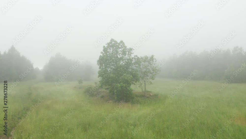 Pull-back aerial view of mist blowing over a field, forest and tree. Pull-back aerial view of mist blowing over a field, forest and tree.