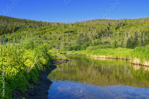 Taiga river with fresh spring water. Chapchany cove, Tatar strait coast. Sikhote-Alin ridges. Khabarovsk region, far East, Russia.