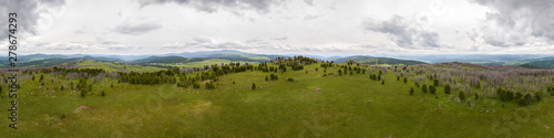 A landscape view of beautiful fresh green forest and Altai mountain background. Panoramic view of beautiful green forest in the Altai mountains