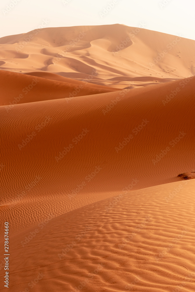Beautiful sand dunes in the Sahara desert. - obrazy, fototapety, plakaty 