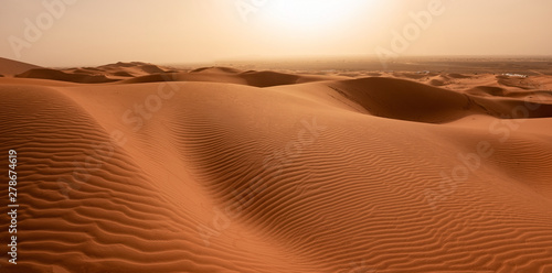 Fotomurale Beautiful sand dunes in the Sahara desert.