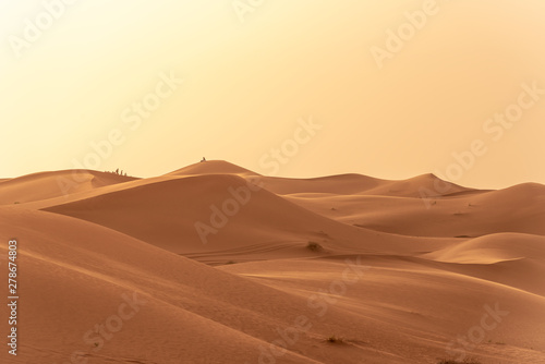 Beautiful sand dunes in the Sahara desert. © shirophoto