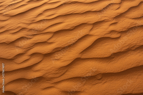Fototapeta Beautiful sand dunes in the Sahara desert.