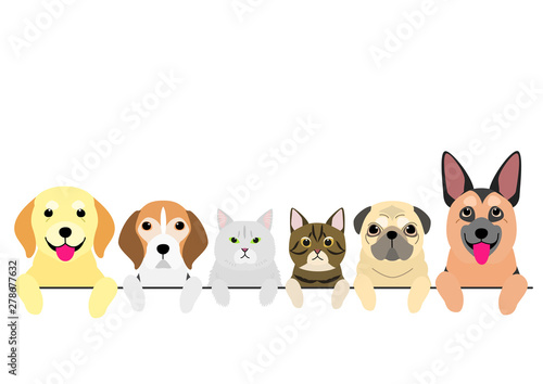 senior dogs and cats in a row