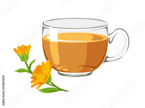Calendula tea in glass cup with orange flower isolated on white background. Vector illustration of medical plant and healing herbal infusion in cartoon flat style.