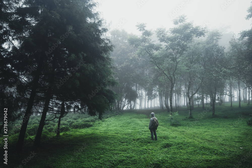 Forest Rain and fog On the Mountain Forest Rain and fog On the Mountain