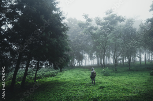 Forest Rain and fog On the Mountain © artrachen