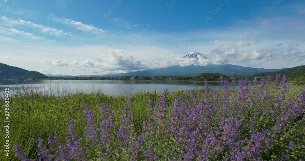 Mountain Fuji in Kawaguchiko Lake of Japan Mountain Fuji in Kawaguchiko Lake of Japan
