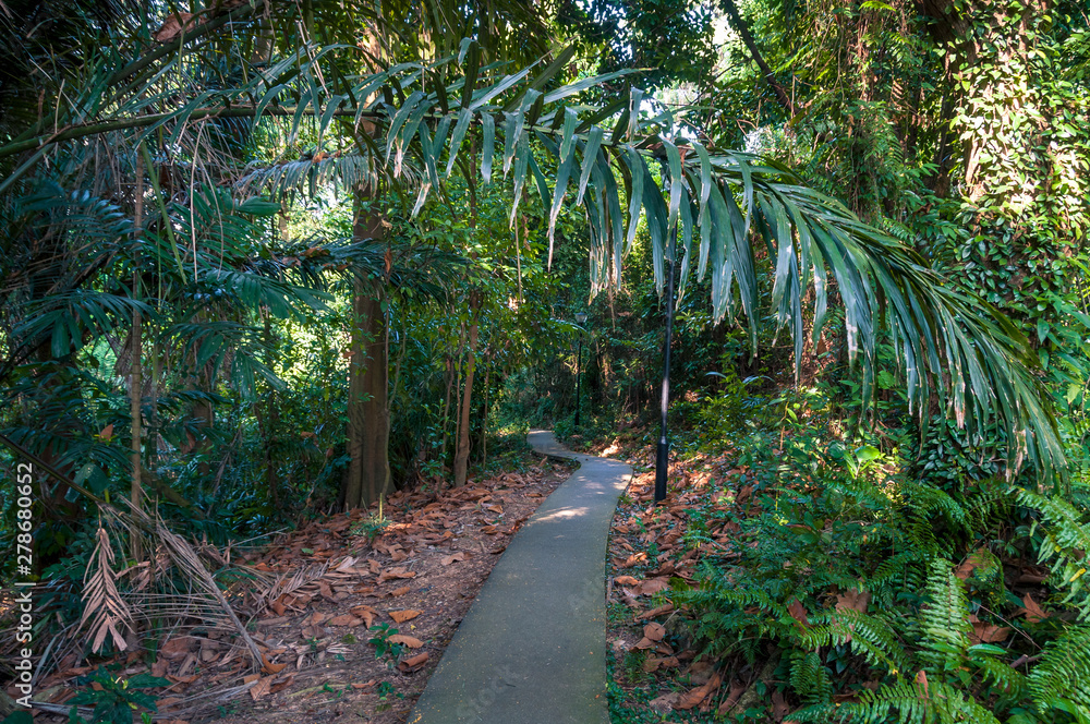 Asphalt path going through lush green park alley Asphalt path going through lush green park alley