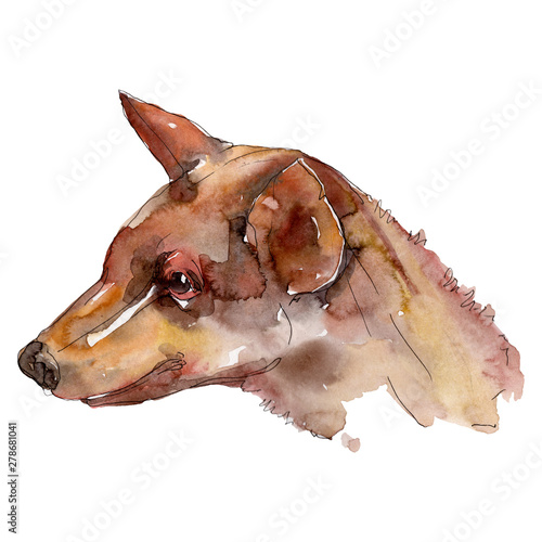 Dog head pet animal isolated. Watercolor background illustration set. Isolated dogs illustration element.