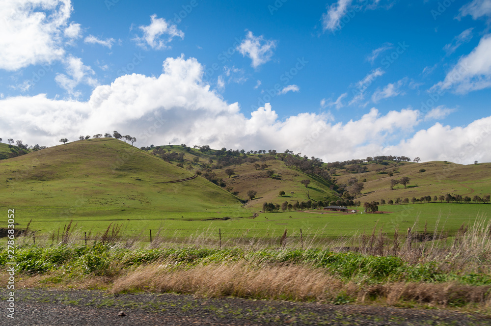 Rolling landscape of green hills and pastures