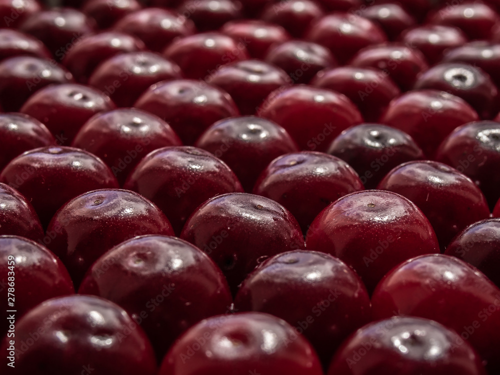 Fresh organic cherry berries. Fruit background. Fresh organic cherry berries. Fruit background.