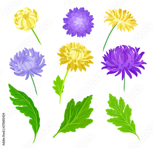 Wallpaper Mural Set of yellow, purple flowers and leaves. Vector illustration on white background. Torontodigital.ca