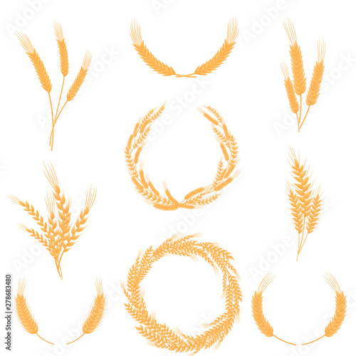 Set of compositions of wheat ears. Vector illustration on white background.