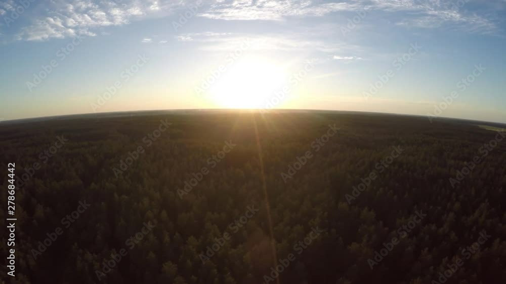 Flying over the forest during sunset. Flying over the forest during sunset.
