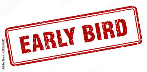 early bird