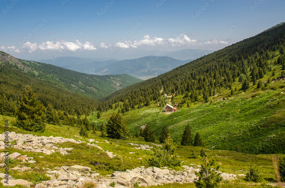 Naklejka premium Pelister National Park - Macedonia, Bitola