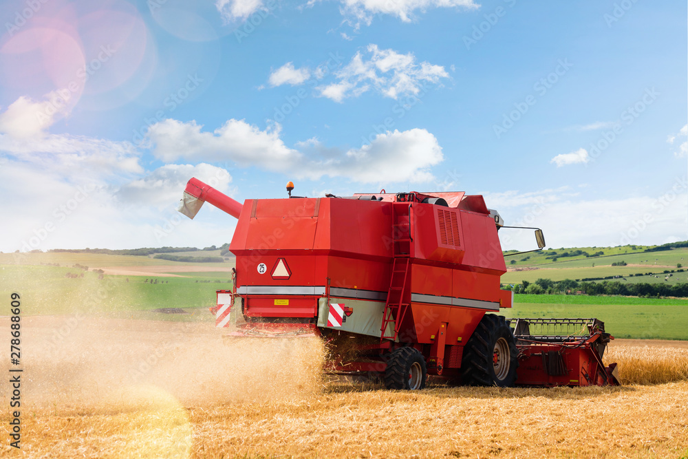 Fototapeta premium beautiful landscape with a combine harvester in action