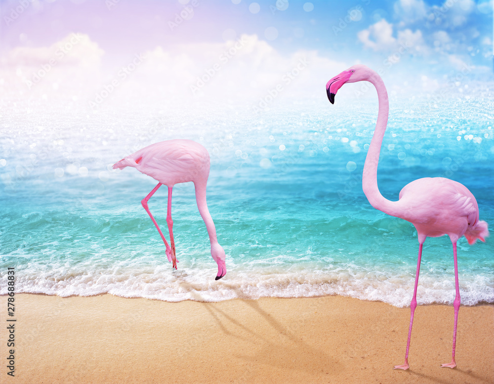 Fototapeta kocham parę różowych flamingów na pięknej piaszczystej plaży i miękkiej niebieskiej fali oceanicznej w tle koncepcji lata