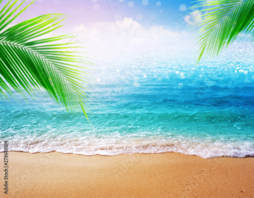 beautiful sandy beach blurred background with palm green leave and Sandy shore