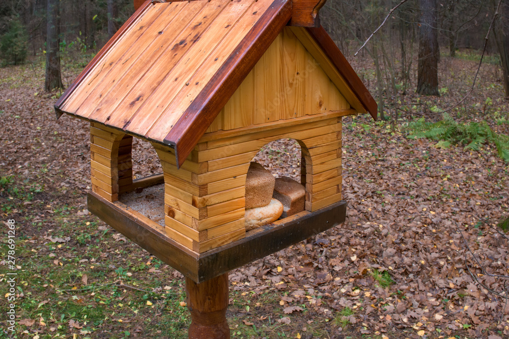 Feeder for birds and animals in the autumn forest Feeder for birds and animals in the autumn forest